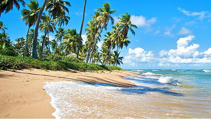 Praia do Forte - Verano 2024